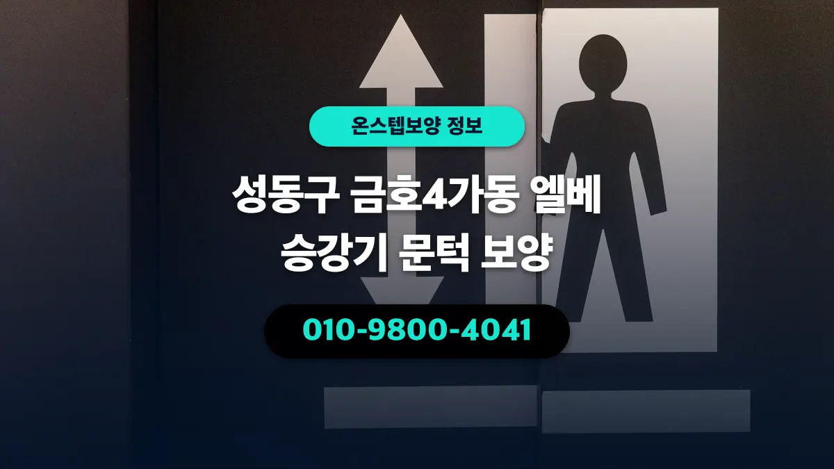성동구 금호4가동 엘베 승강기 문턱 보양 - 온스텝보양