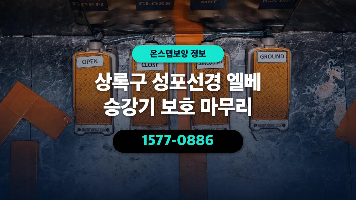 상록구 성포선경 엘베 승강기 보호 마무리 - 온스텝보양