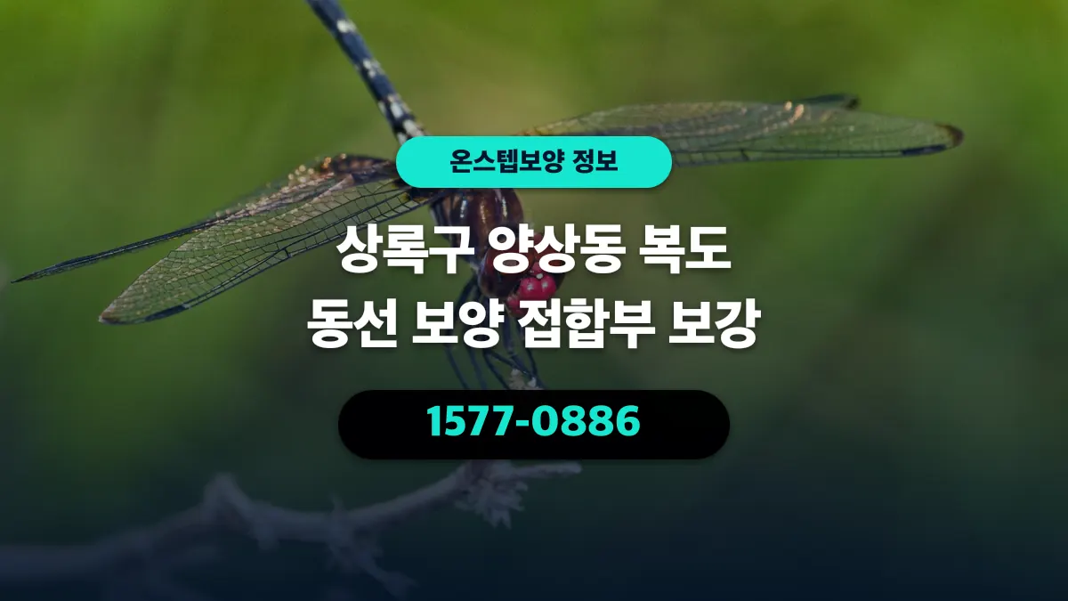 상록구 양상동 복도 동선 보양 접합부 보강 - 온스텝보양