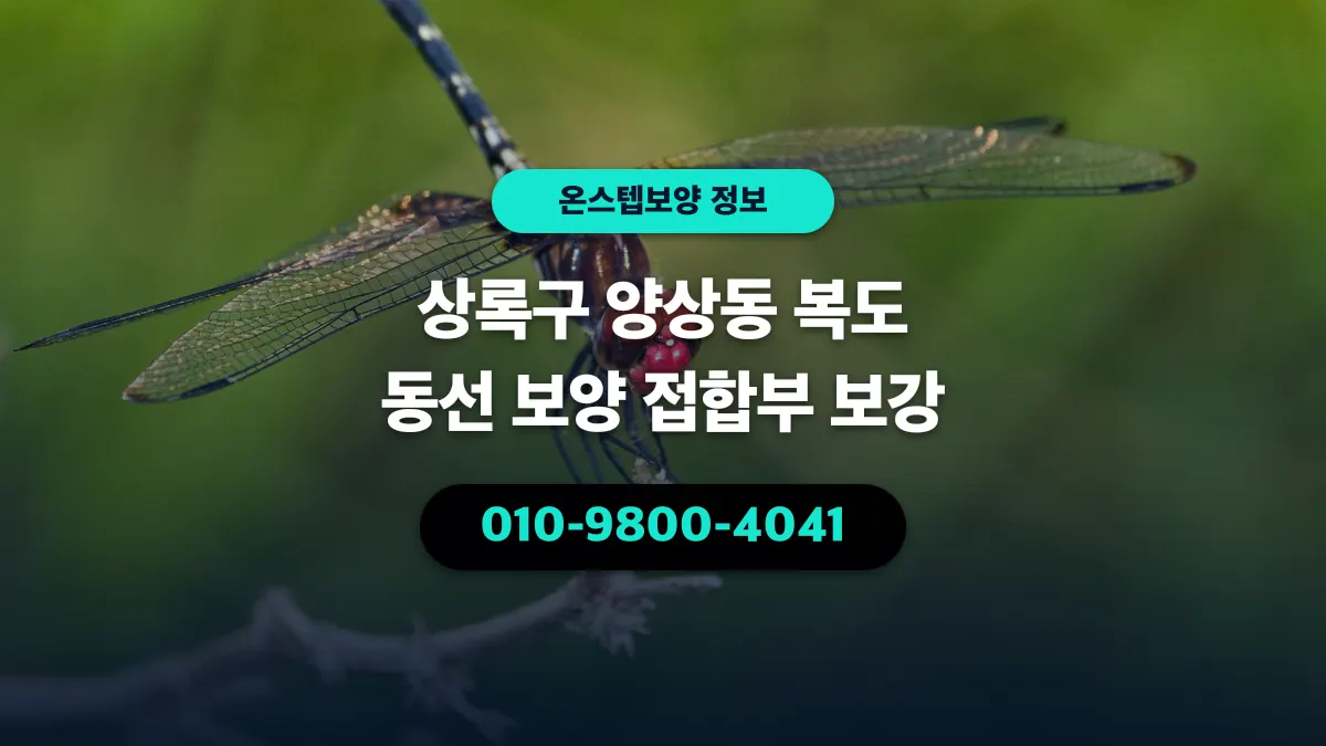 상록구 양상동 복도 동선 보양 접합부 보강 - 온스텝보양
