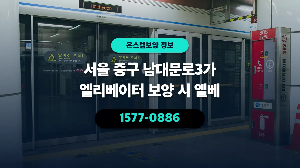 서울 중구 남대문로3가 엘리베이터 보양 시 엘베 - 온스텝보양