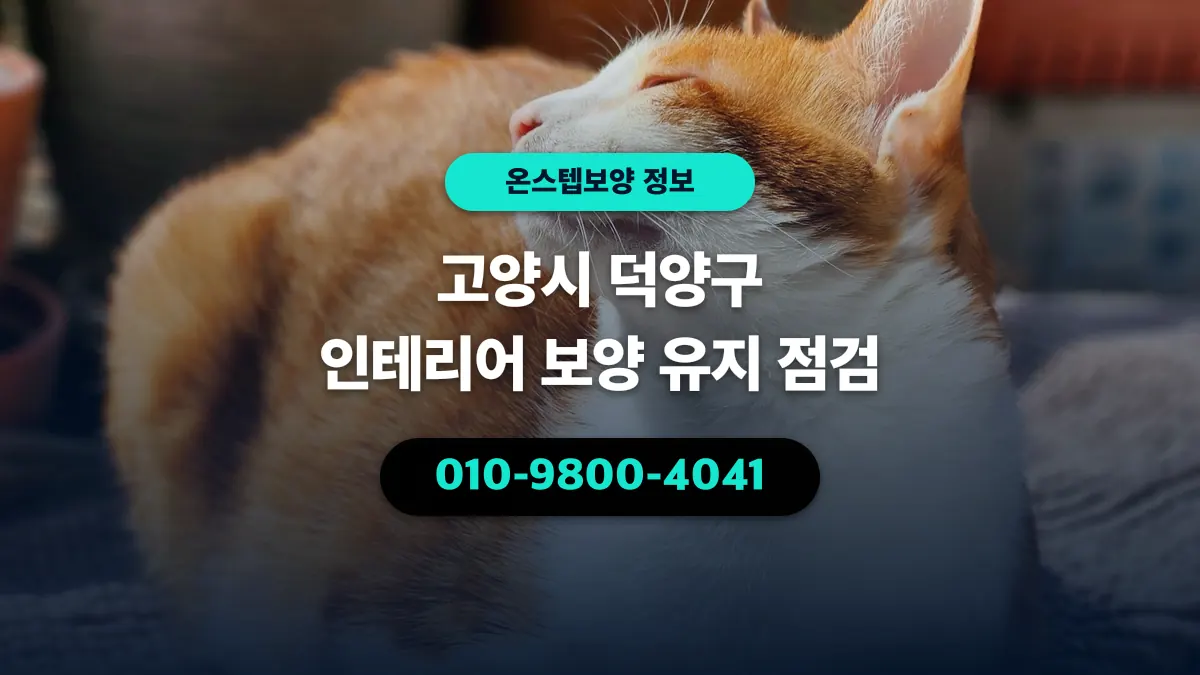 고양시 덕양구 인테리어 보양 유지 점검 - 온스텝보양
