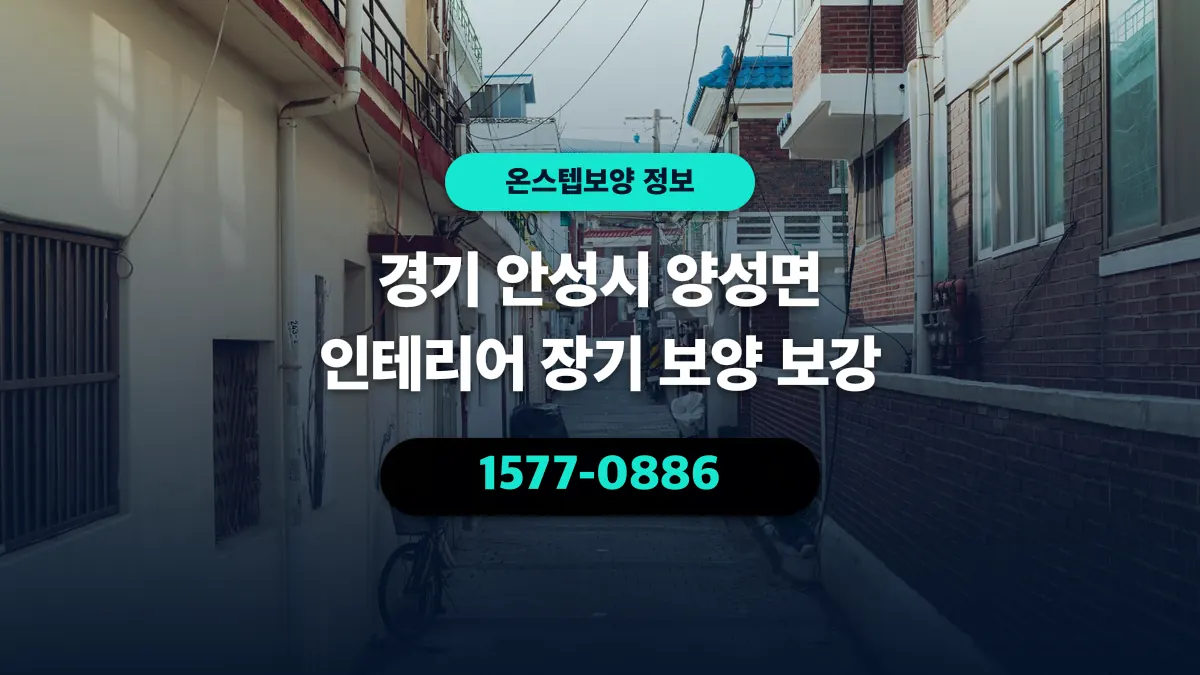 경기 안성시 양성면 인테리어 장기 보양 보강 - 온스텝보양