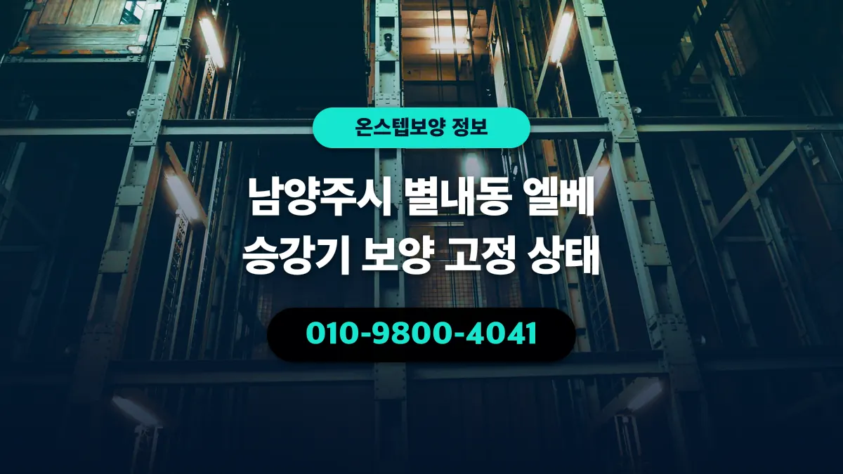 남양주시 별내동 엘베 승강기 보양 고정 상태 - 온스텝보양