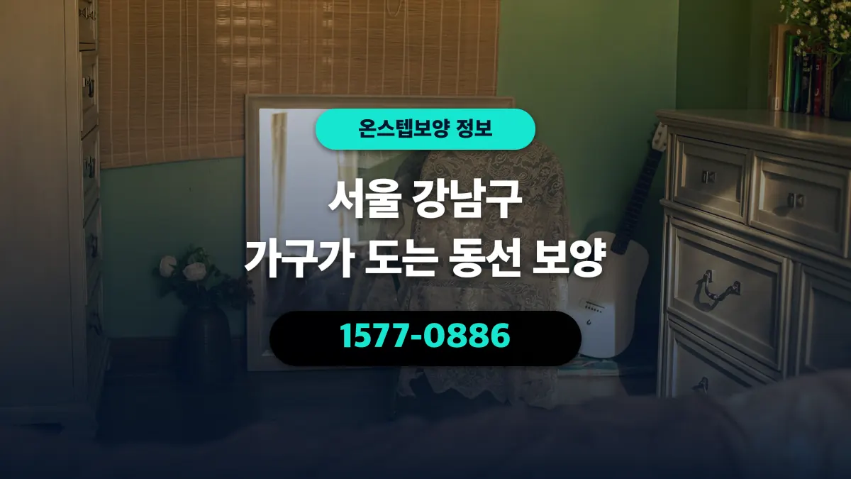 서울 강남구 가구가 도는 동선 보양 - 온스텝보양