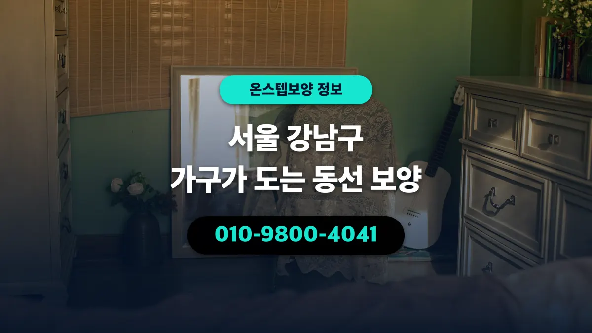 서울 강남구 가구가 도는 동선 보양 - 온스텝보양