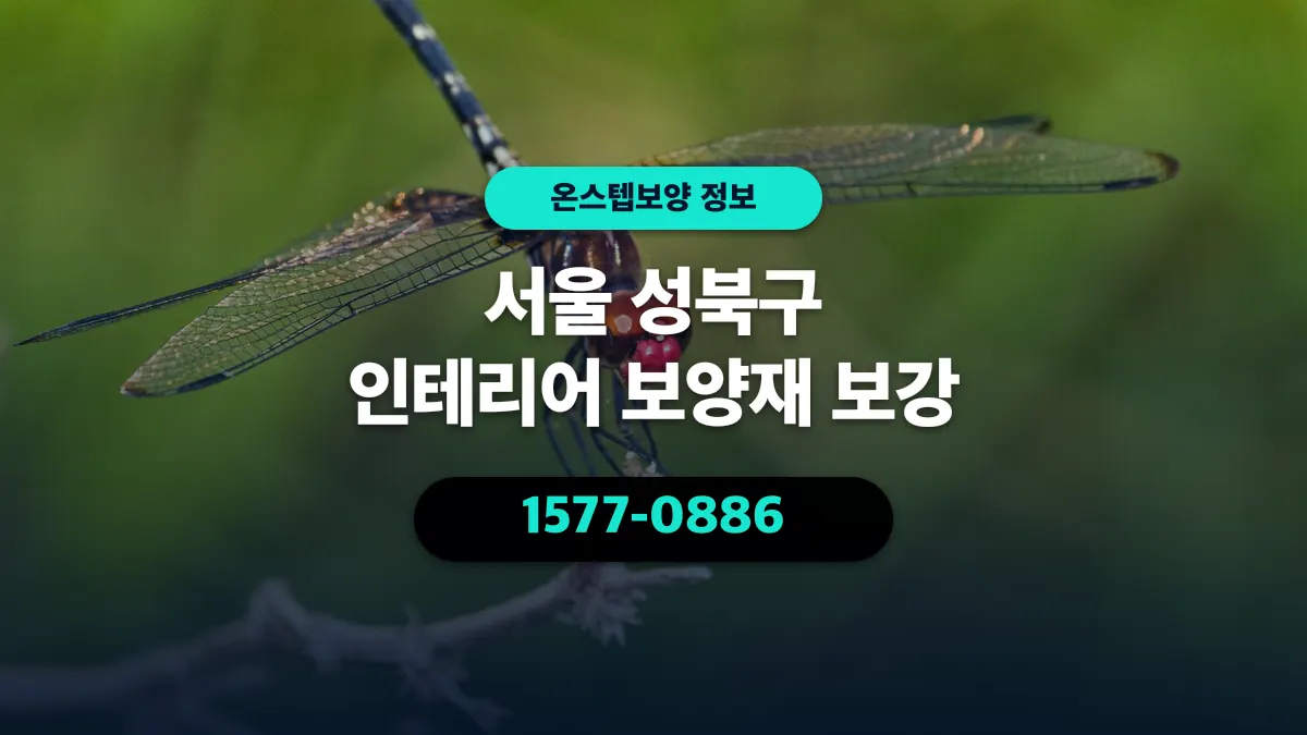 서울 성북구 인테리어 보양재 보강 - 온스텝보양