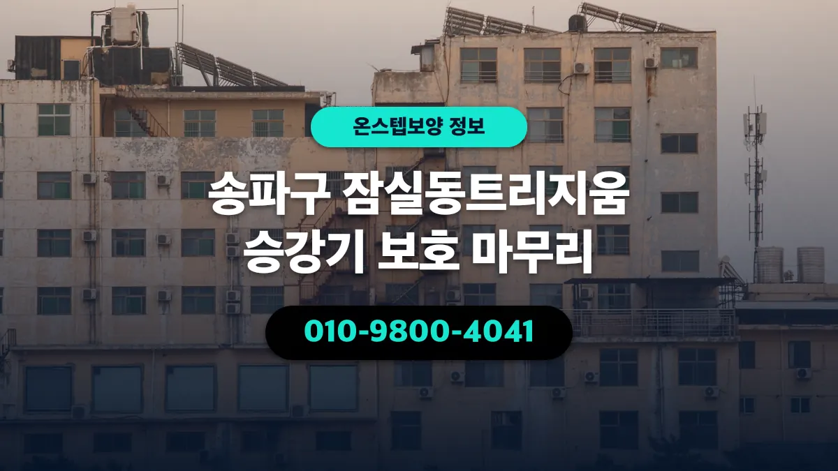 송파구 잠실동트리지움 승강기 보호 마무리 - 온스텝보양
