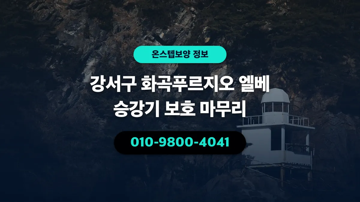 강서구 화곡푸르지오 엘베 승강기 보호 마무리 - 온스텝보양