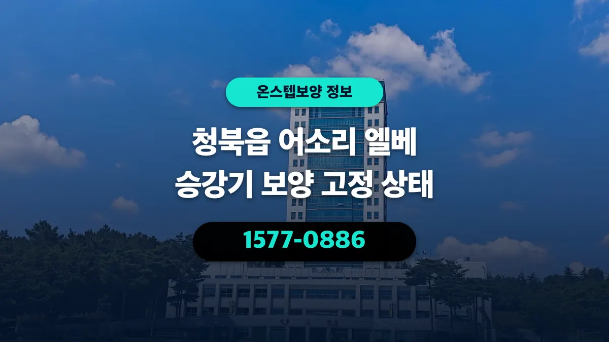 청북읍 어소리 엘베 승강기 보양 고정 상태 - 온스텝보양