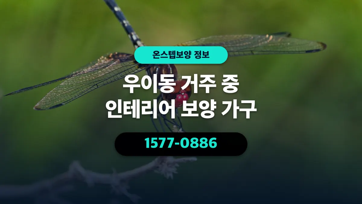 우이동 거주 중 인테리어 보양 가구 - 온스텝보양