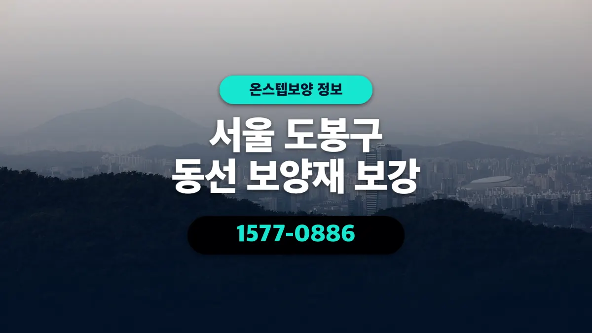 서울 도봉구 동선 보양재 보강 - 온스텝보양
