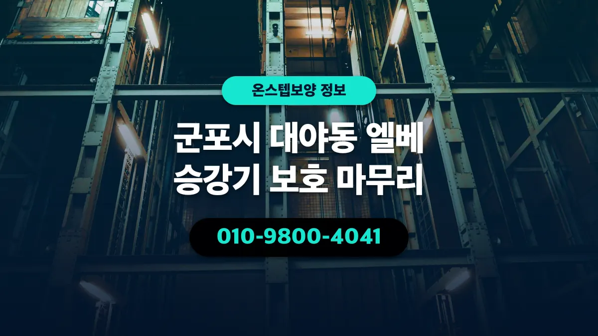 군포시 대야동 엘베 승강기 보호 마무리 - 온스텝보양