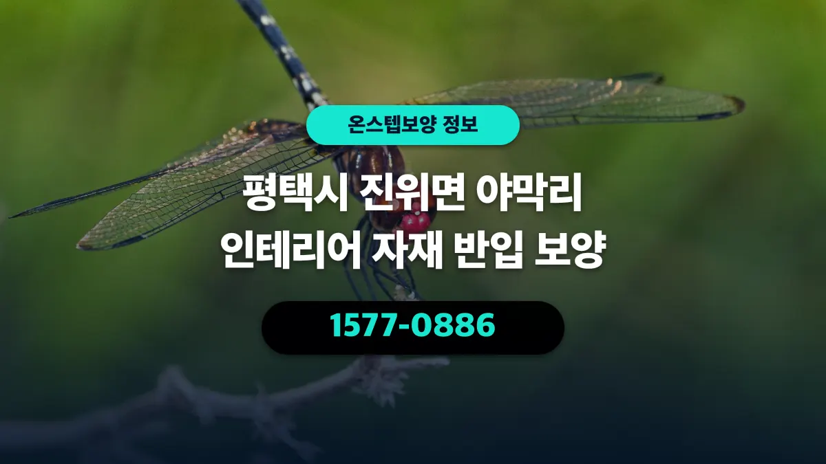 평택시 진위면 야막리 인테리어 자재 반입 보양 - 온스텝보양