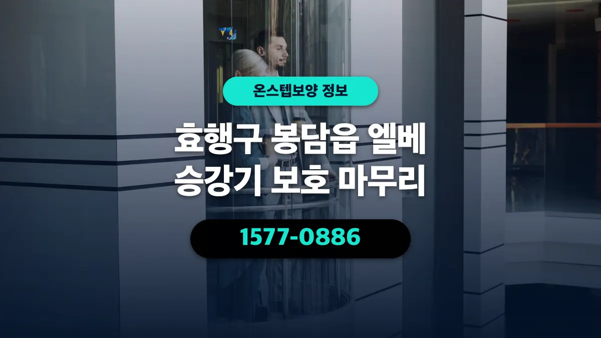 효행구 봉담읍 엘베 승강기 보호 마무리 - 온스텝보양