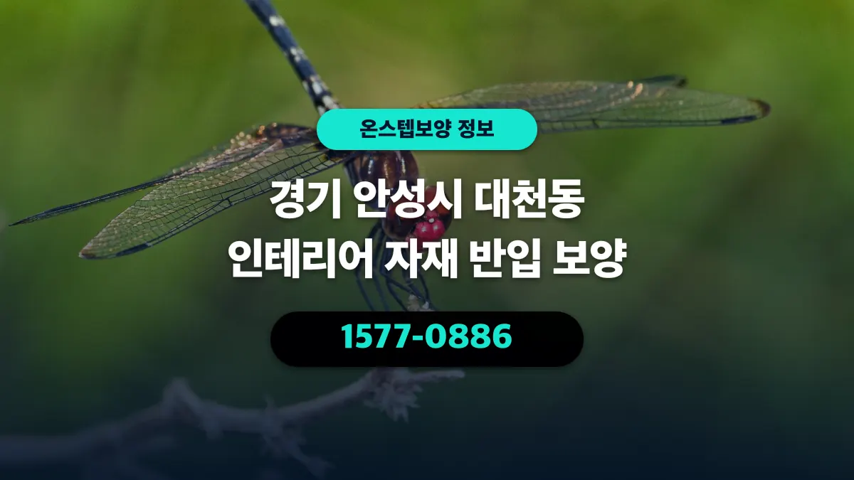 경기 안성시 대천동 인테리어 자재 반입 보양 - 온스텝보양
