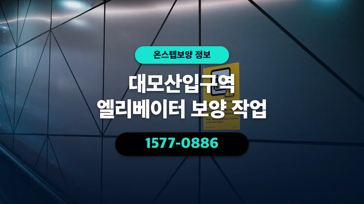 대모산입구역 엘리베이터 보양 작업 - 온스텝보양