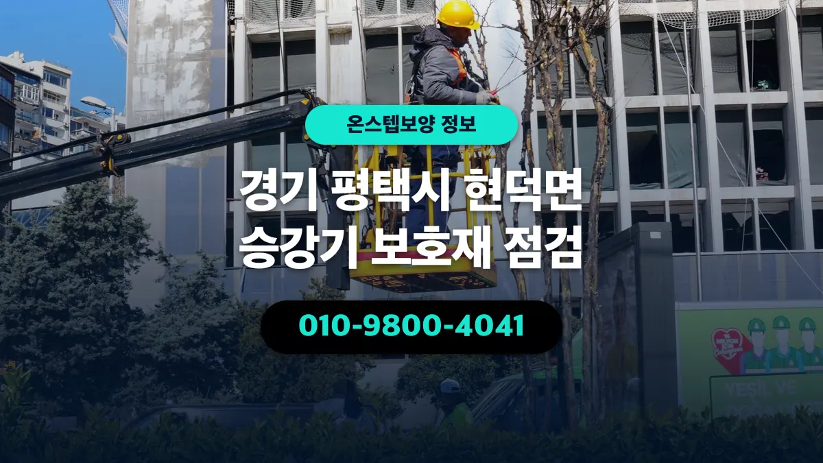 경기 평택시 현덕면 승강기 보호재 점검 - 온스텝보양