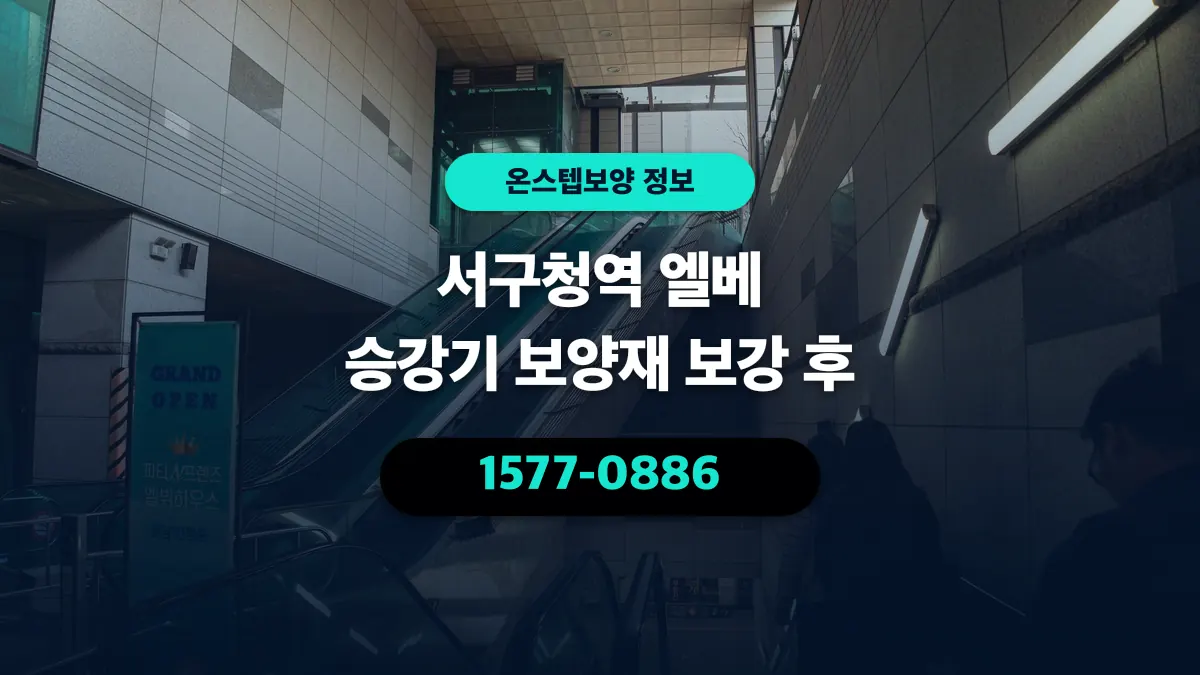 서구청역 엘베 승강기 보양재 보강 후 - 온스텝보양