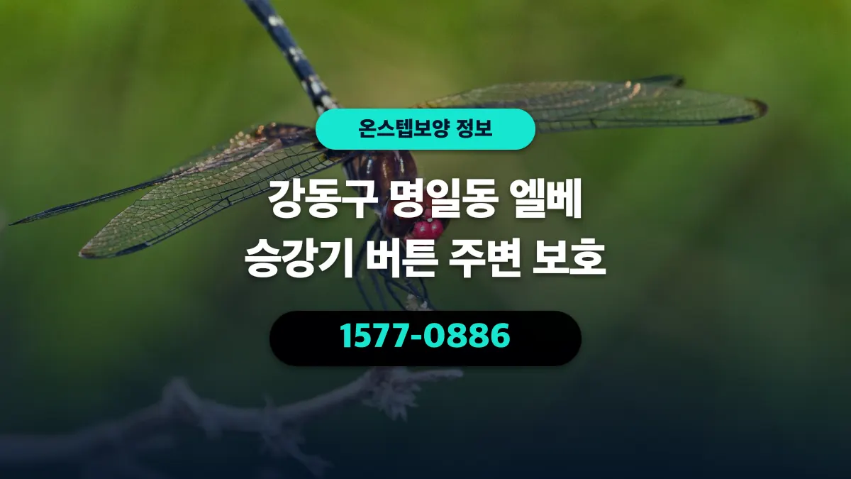 강동구 명일동 엘베 승강기 버튼 주변 보호 - 온스텝보양