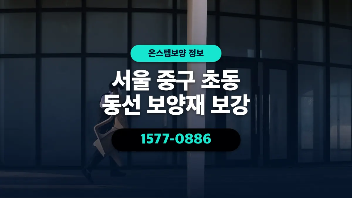 서울 중구 초동 동선 보양재 보강 - 온스텝보양